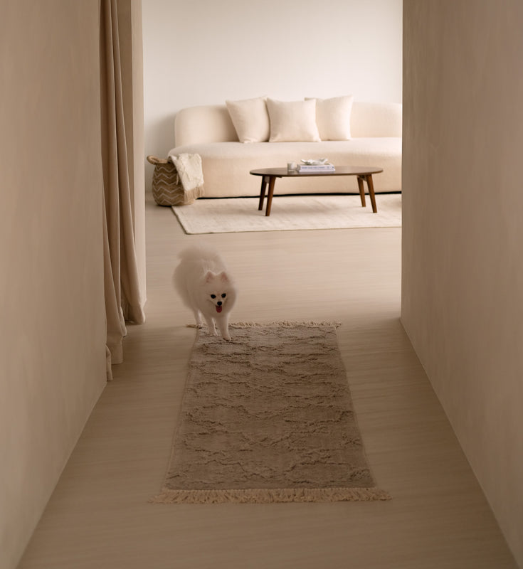 Rugs Carpets Singapore