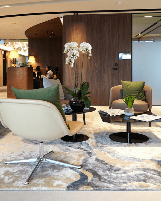 Commercial Project with CEO Suite