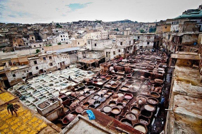 DNA Explores: Leatherwork in Fez, Morocco