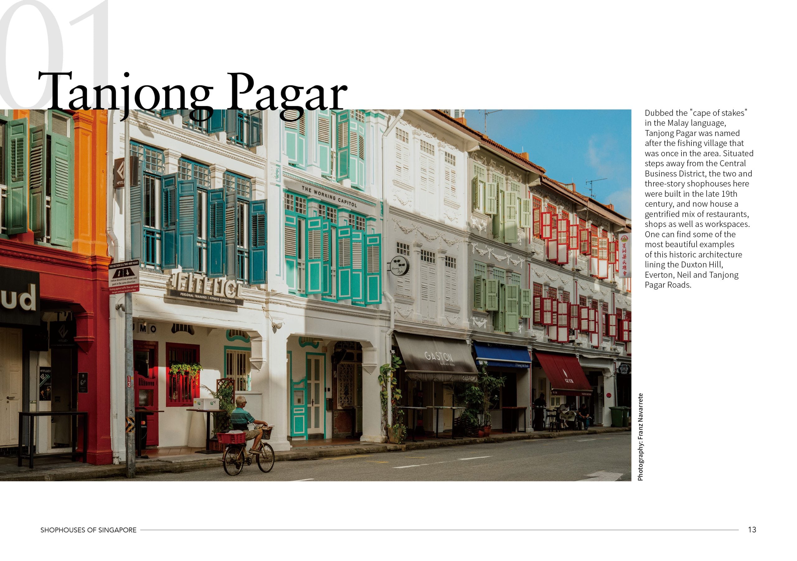 Load image into Gallery viewer, Shophouses of Singapore: Beyond The Facade