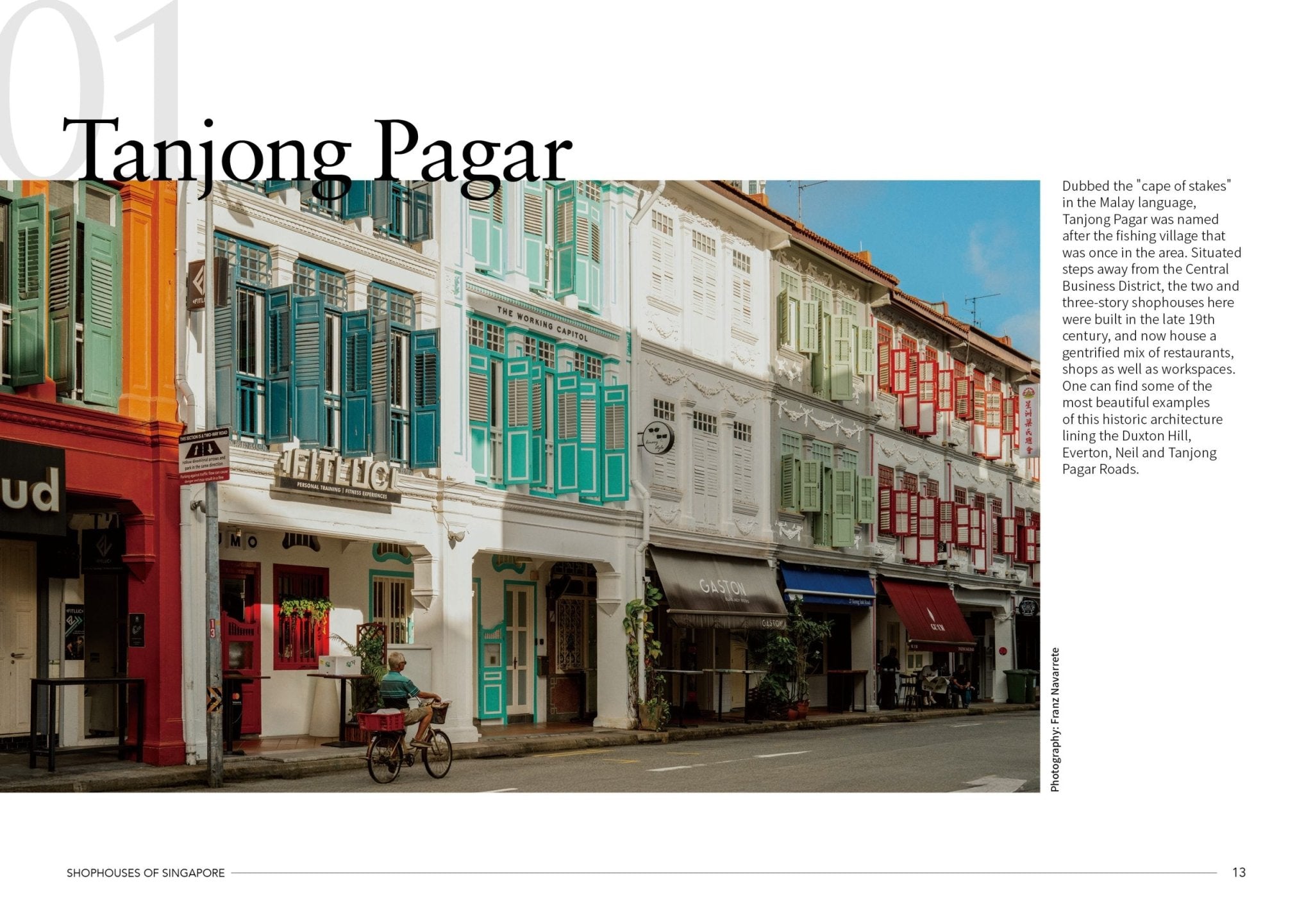 Load image into Gallery viewer, Book Shophouses of Singapore: Beyond The Facade -
