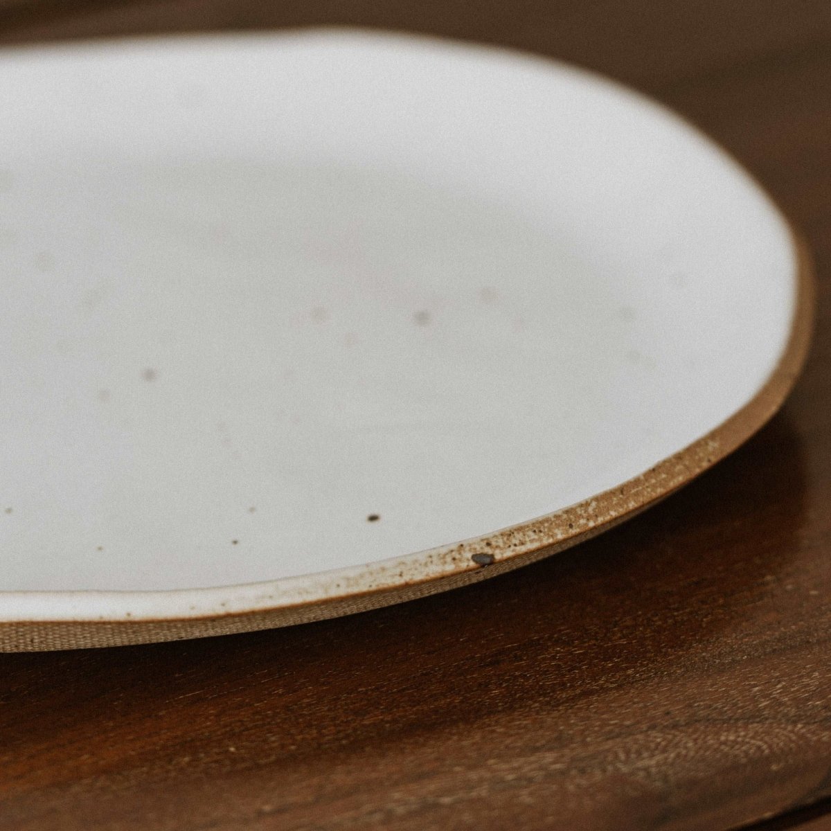 画像をギャラリービューアに読み込む, Dinnerware Organic Shaped Plate - Medium