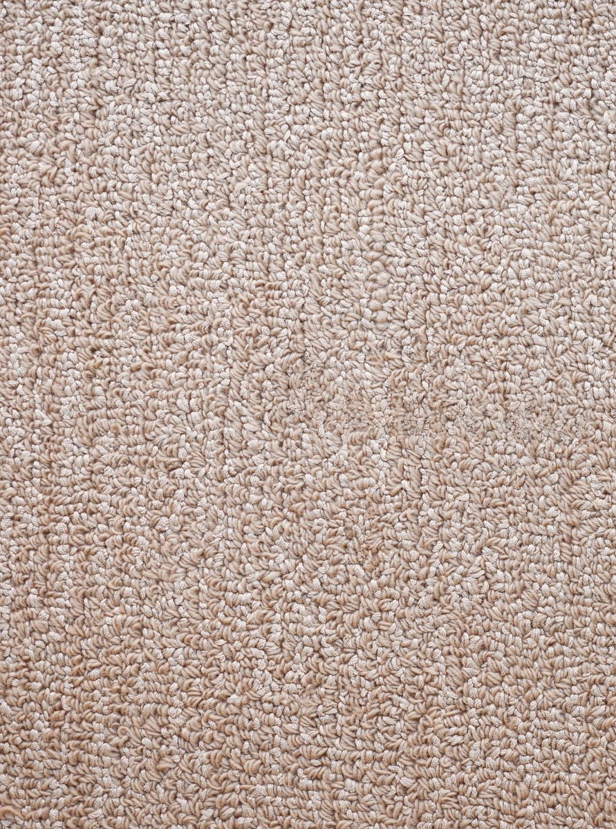 将图片加载到图库查看器，Rugs Boucle Taupe Rug - 120 x 180 cm