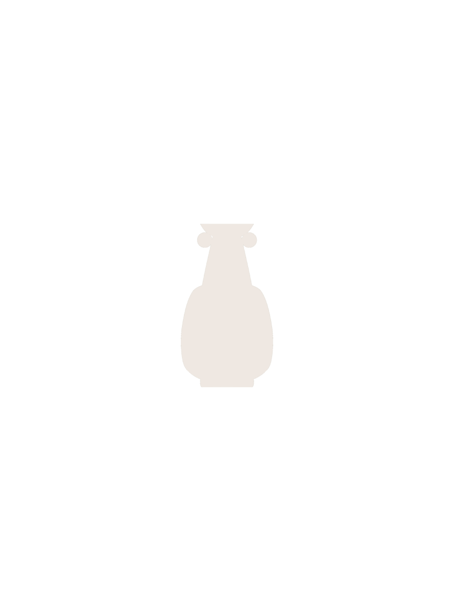 Load image into Gallery viewer, Vases Iris Tall Vase - Bone White - White