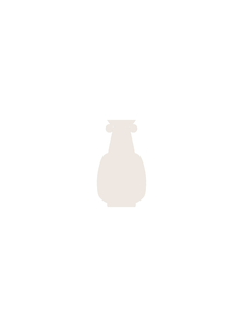 Vases Iris Tall Vase - Bone White - White