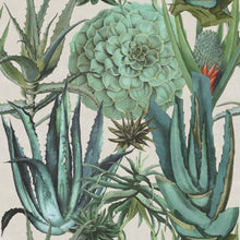 将图片加载到图库查看器，Wallpaper Succulentus -